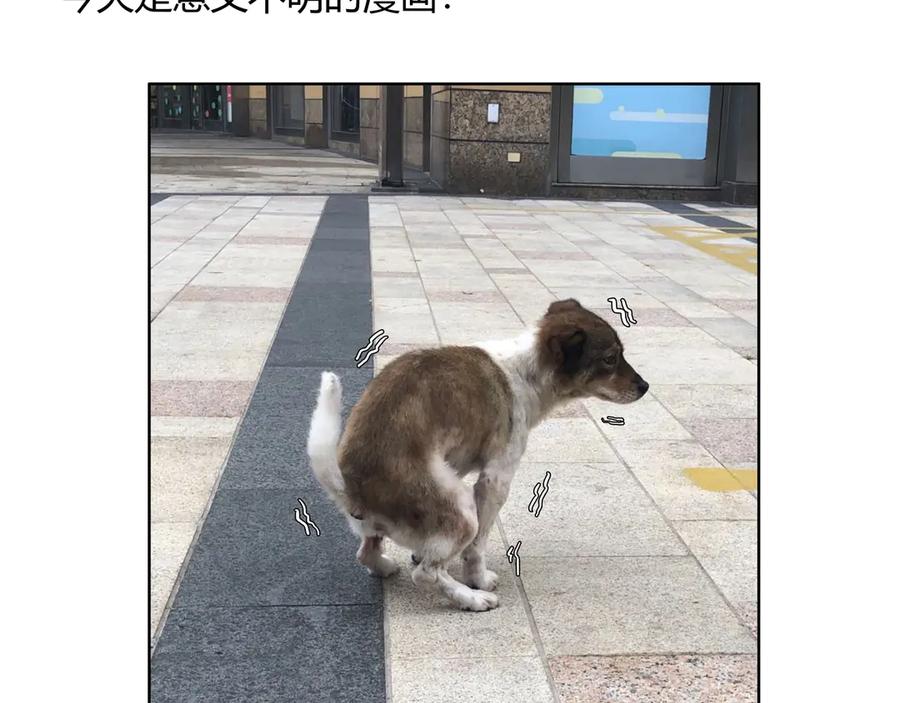 第194页