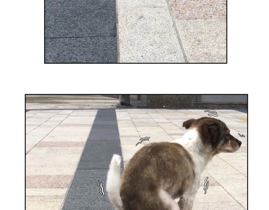 第195页