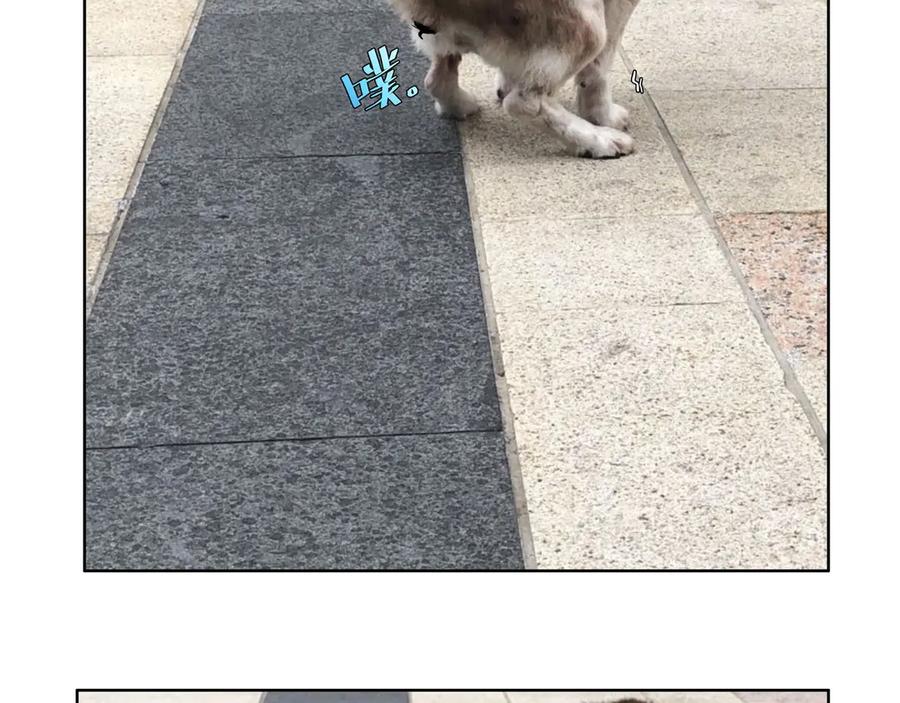 第196页