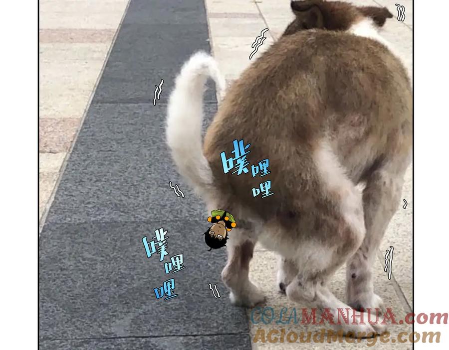 第197页