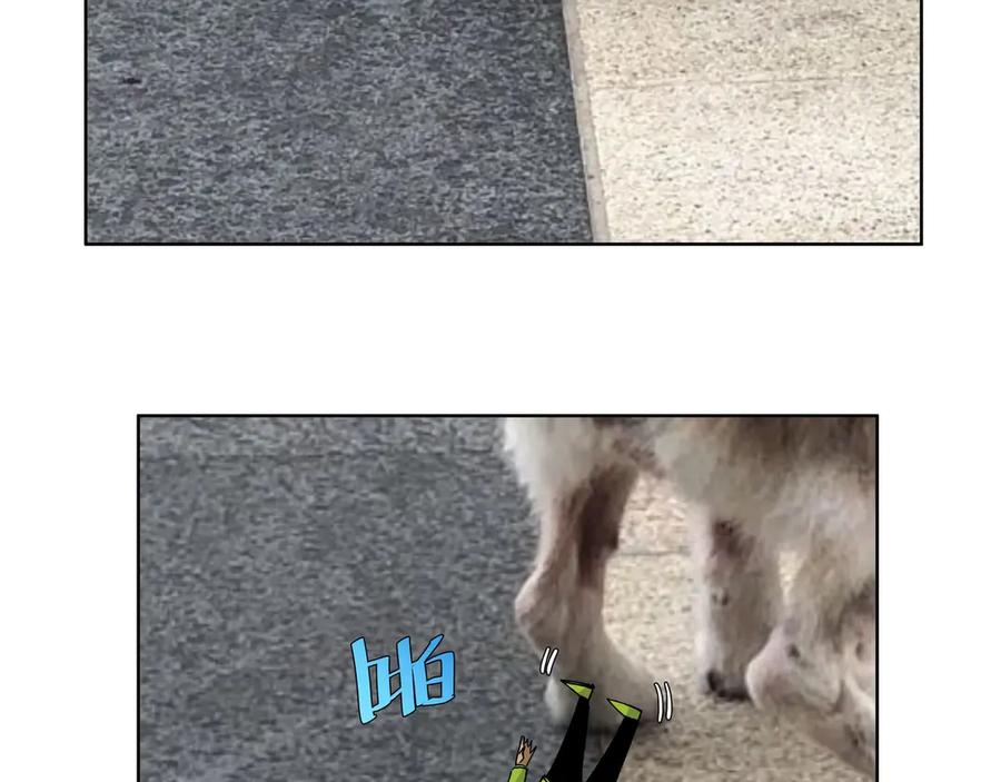 第198页