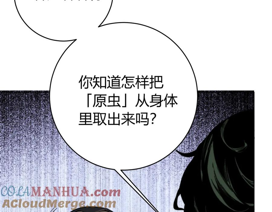 第213页