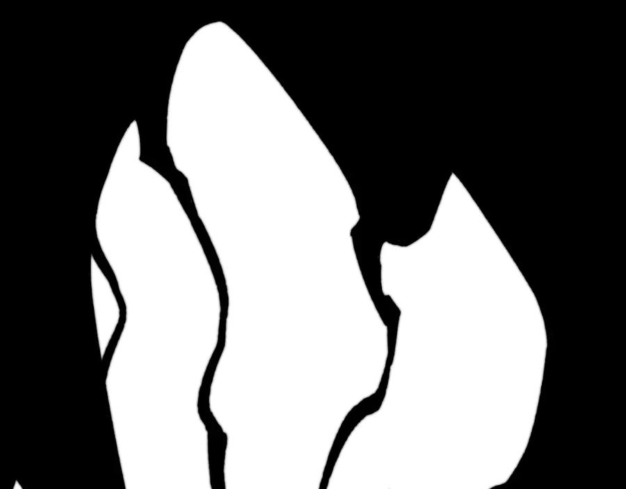 第164页