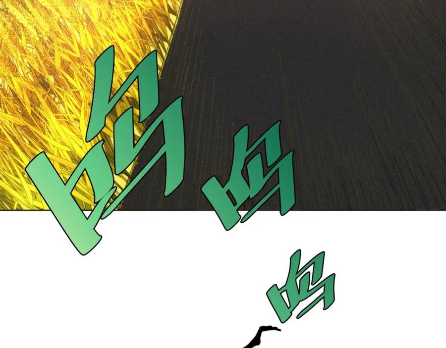 第224页