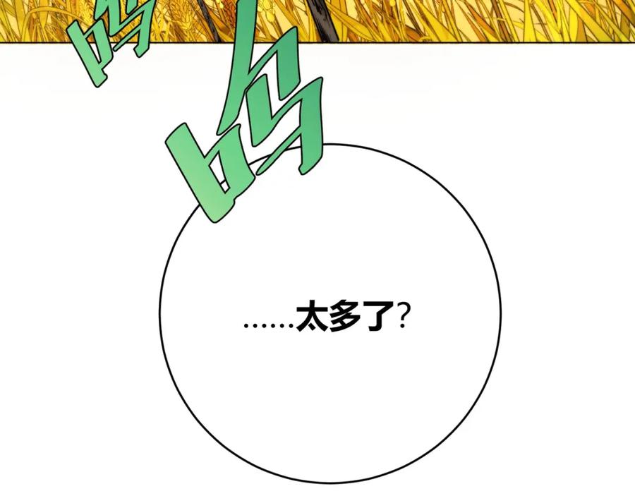 第228页