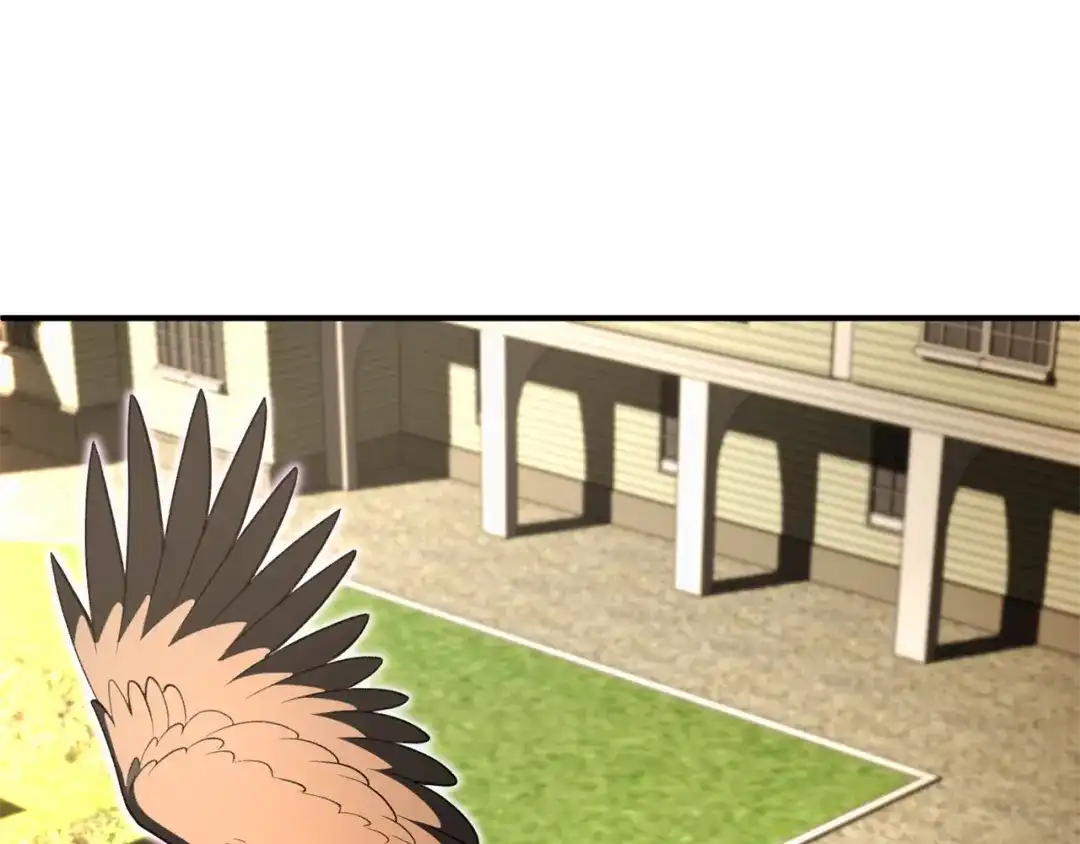 第175页