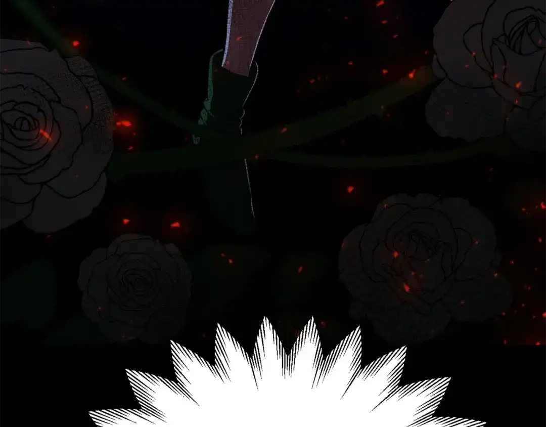 第217页