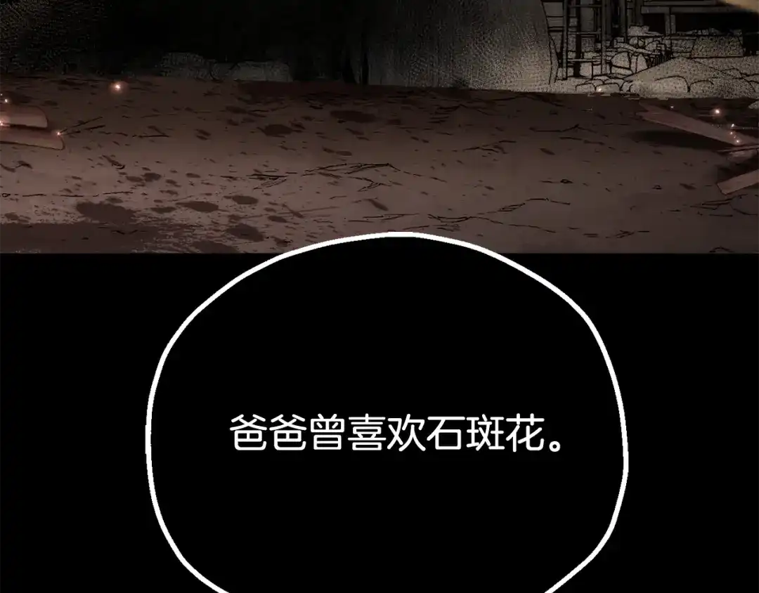 第219页