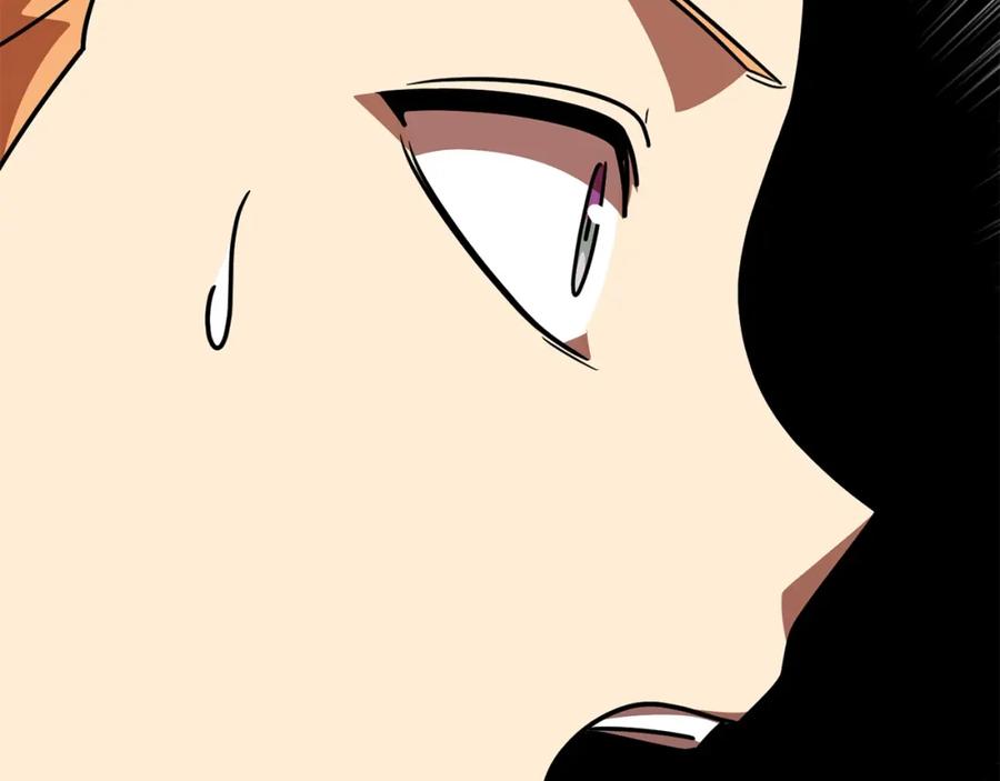 第223页