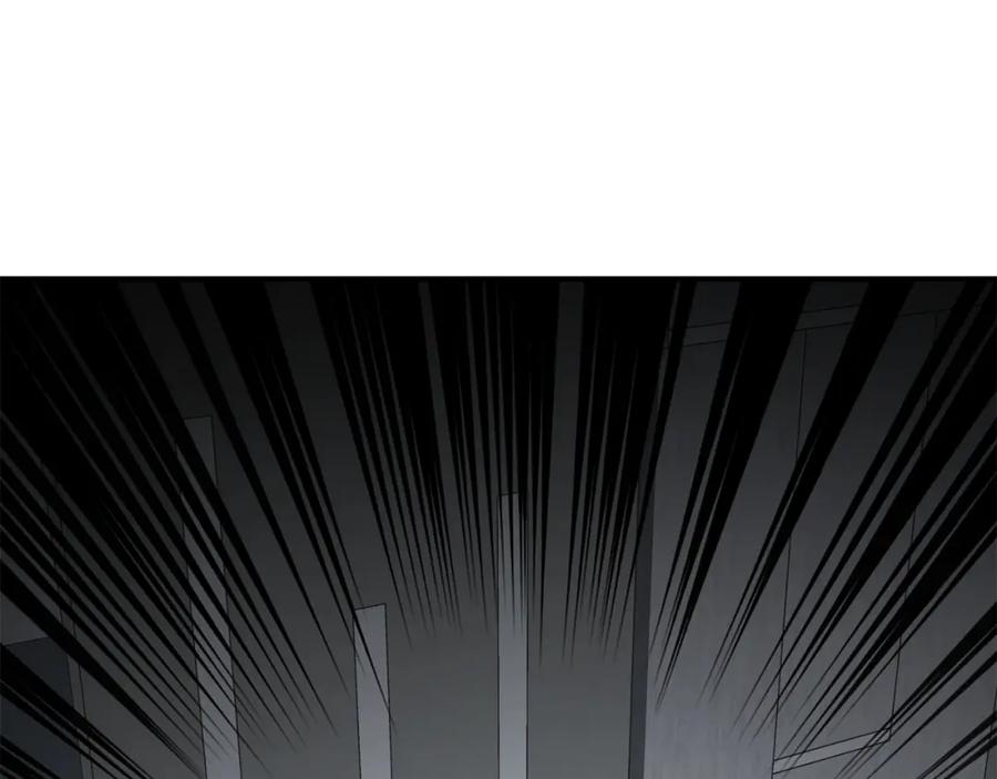 第223页