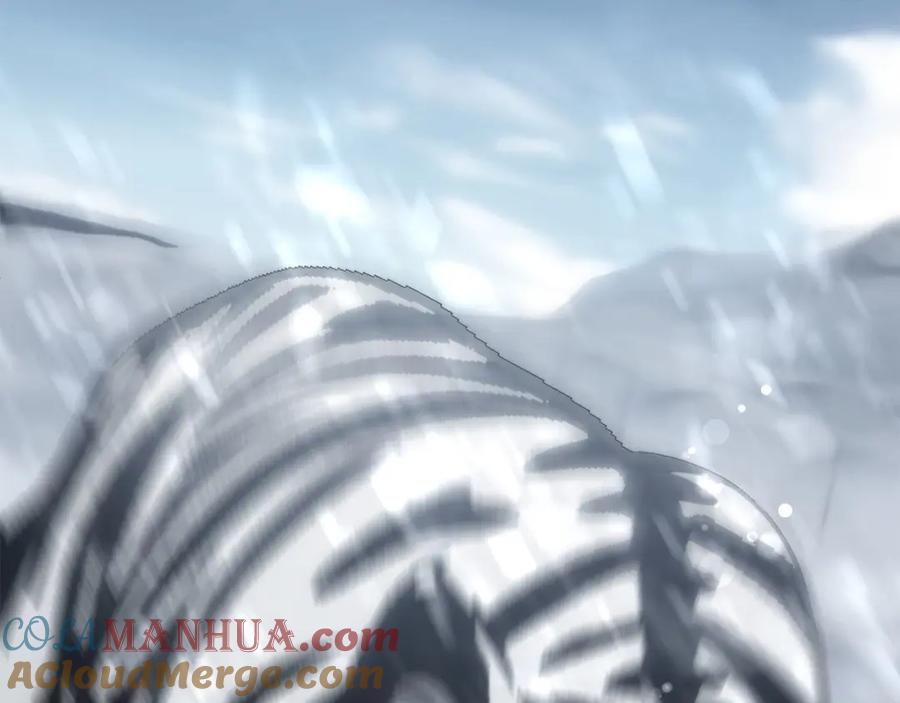 第229页
