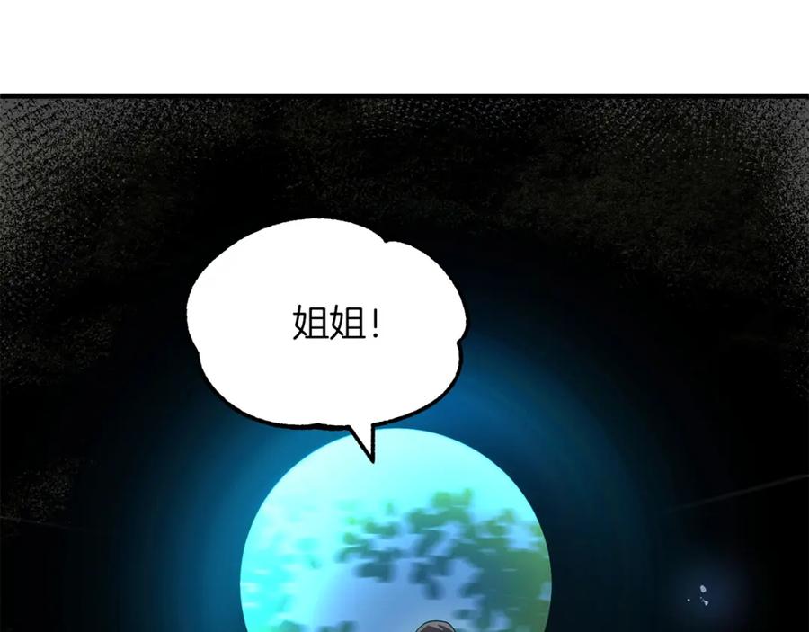 第243页