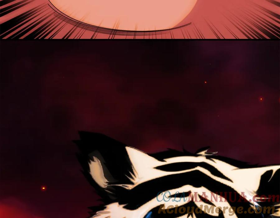 第197页