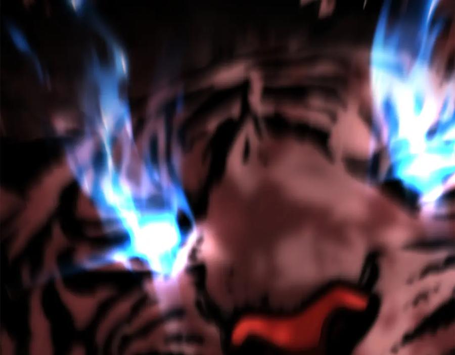 第260页