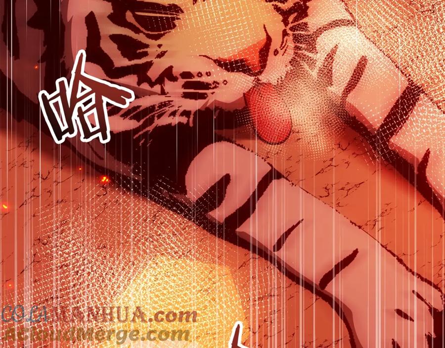第185页