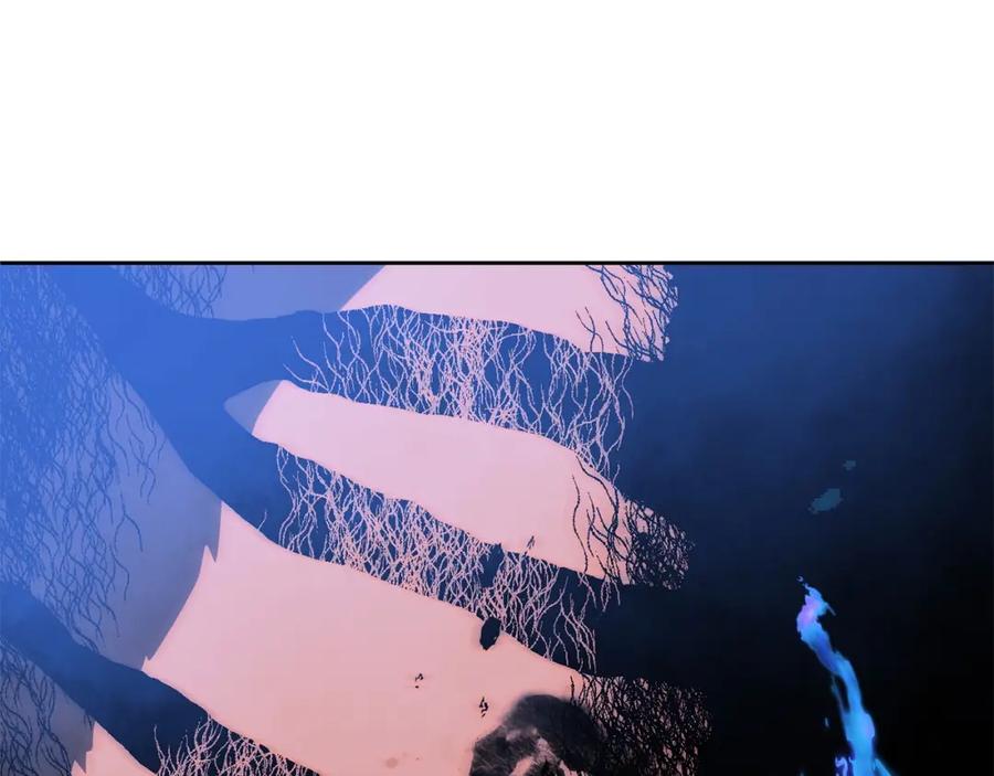第223页