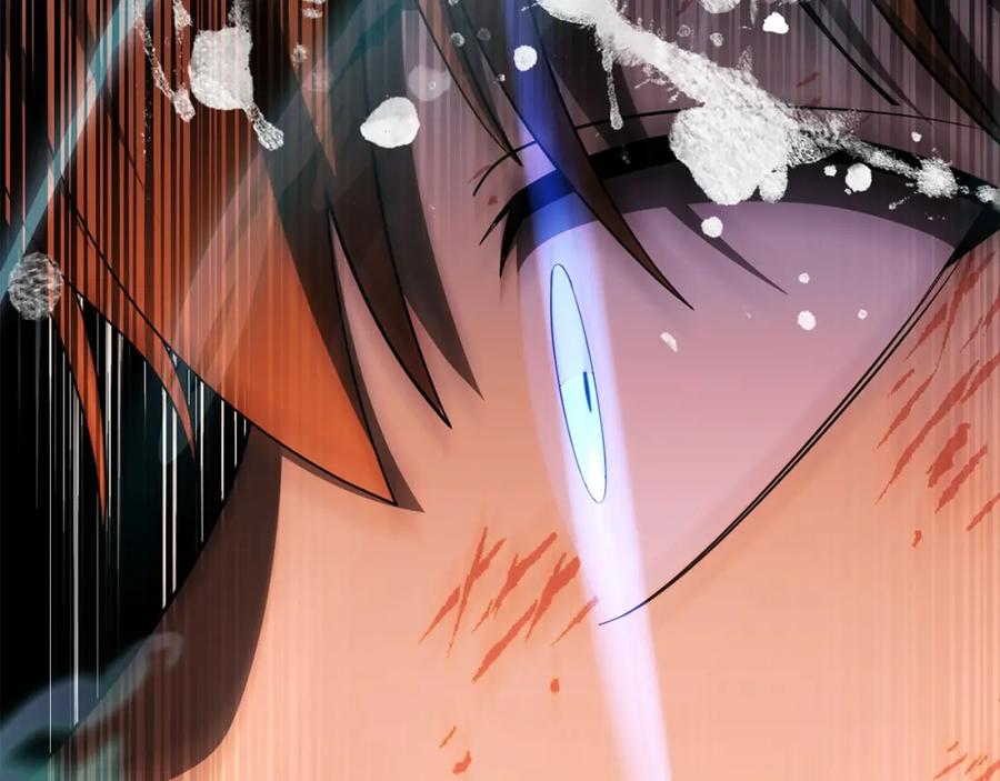 第246页
