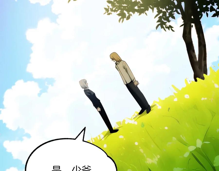 第260页