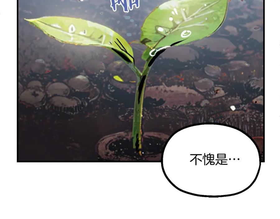 第262页