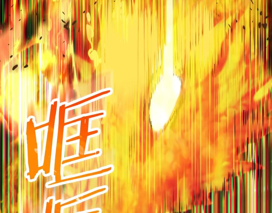 第215页