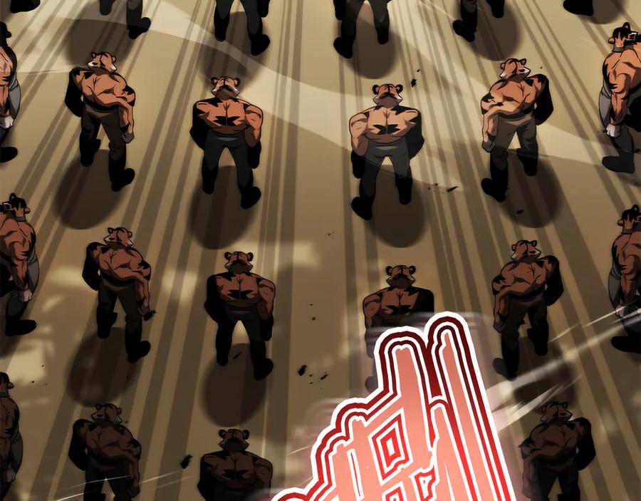 第251页