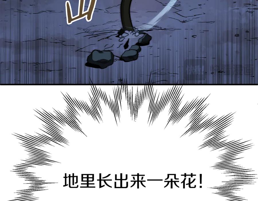 第224页