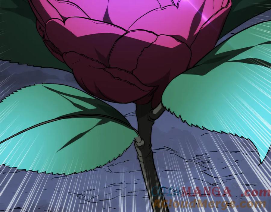 第229页