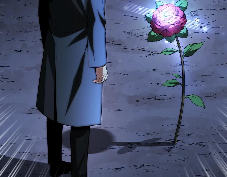 第243页