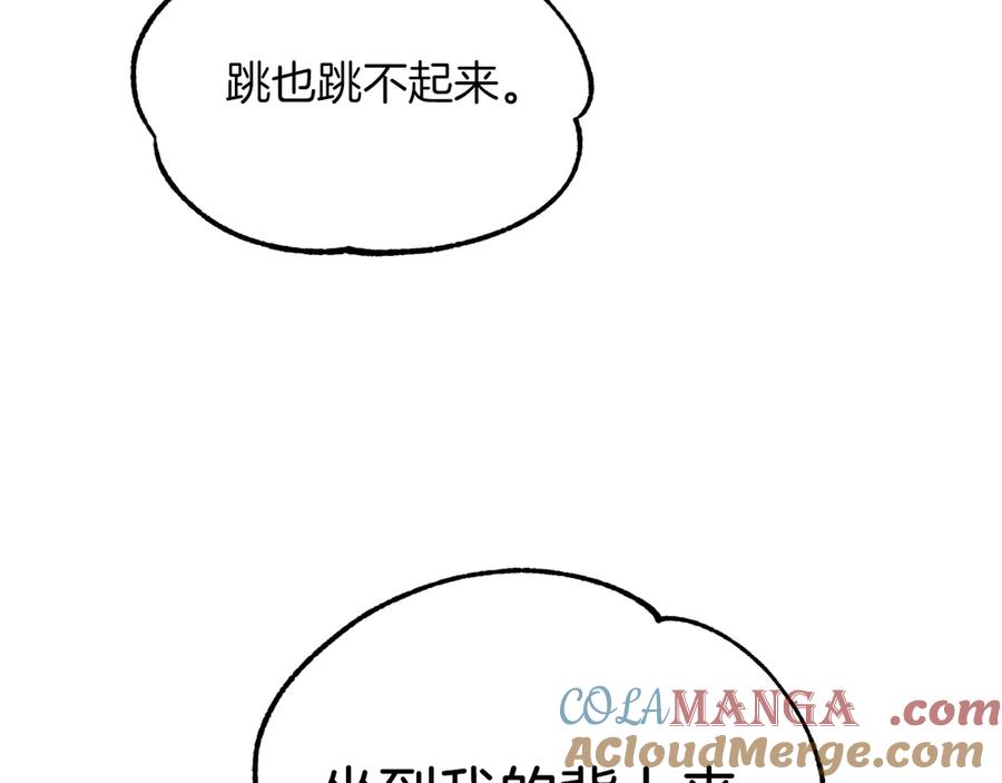 第213页