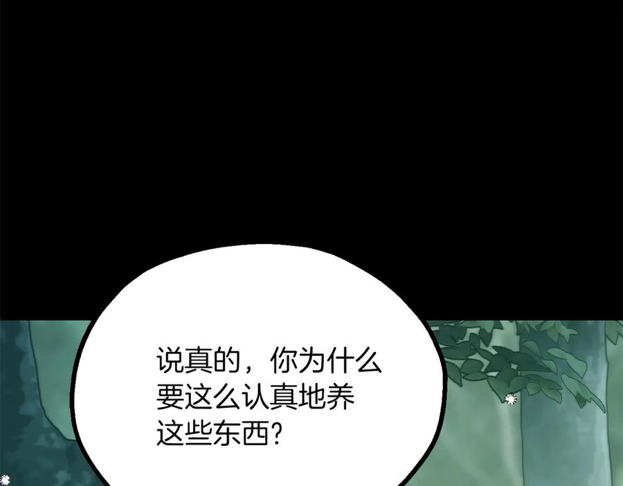 第215页