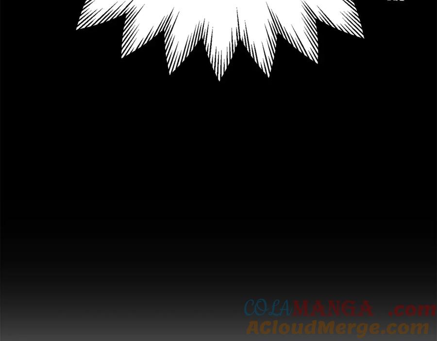 第229页