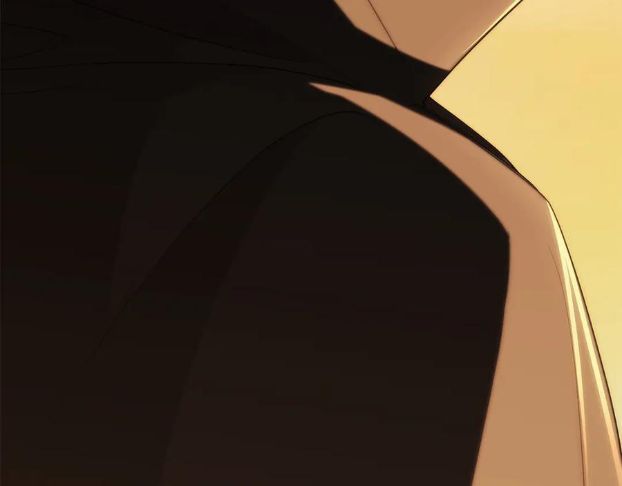 第242页