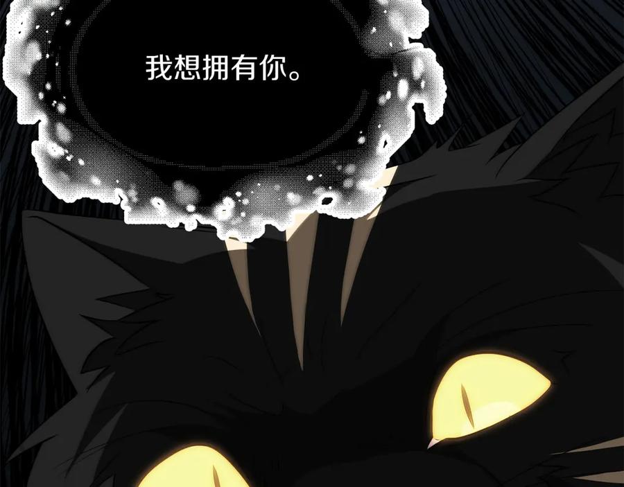 第224页