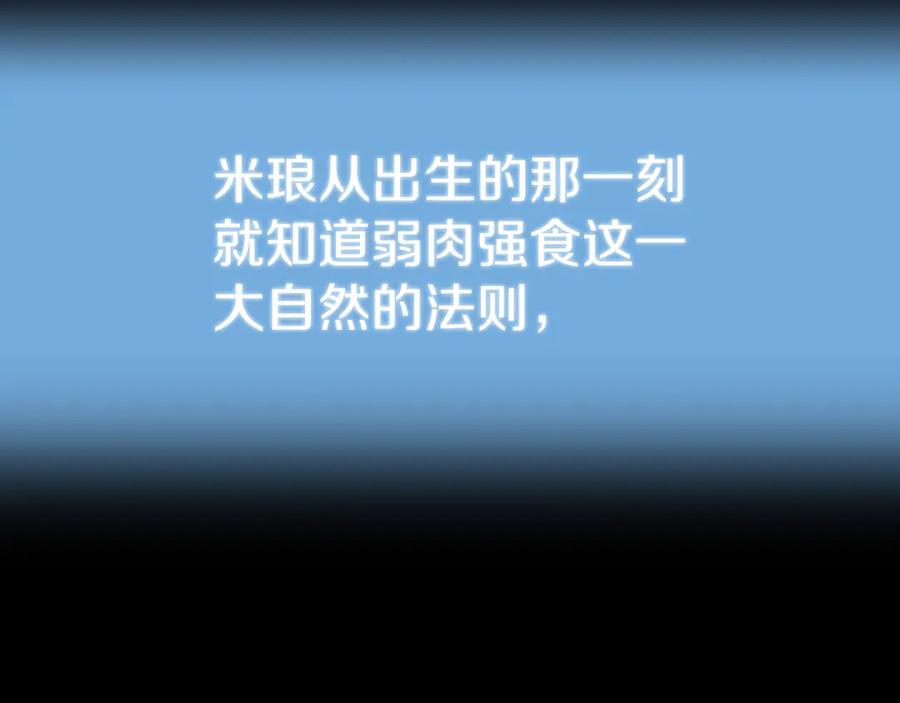 第203页