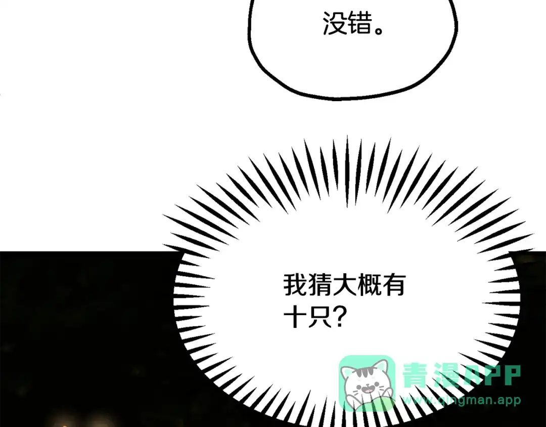 第246页