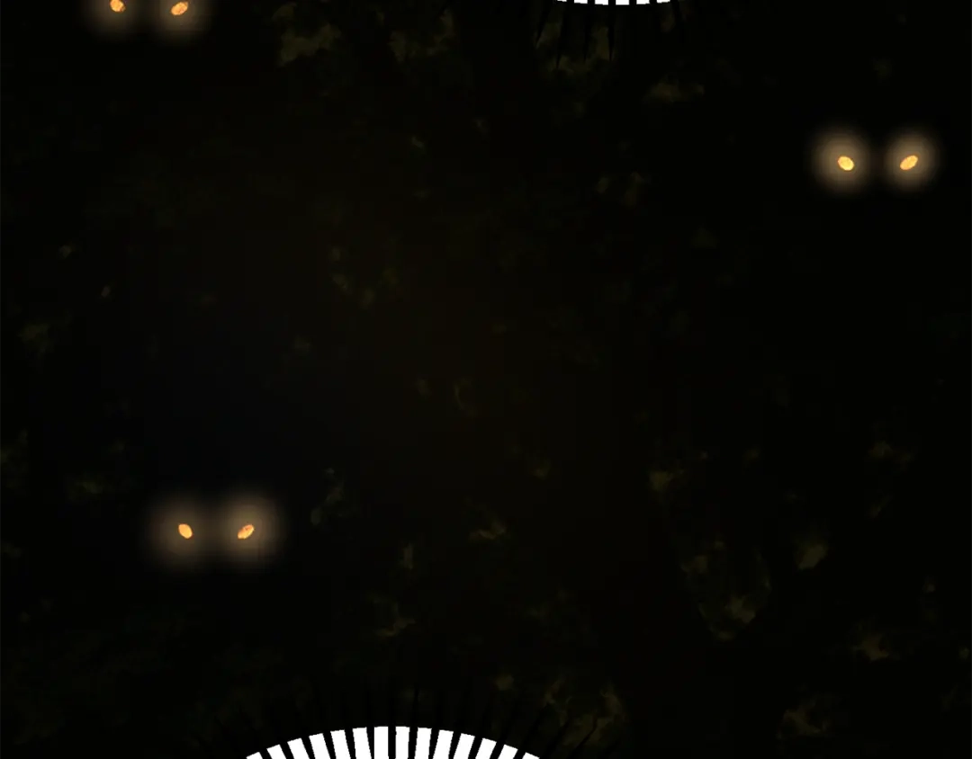第247页