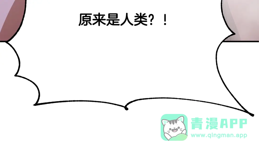 第236页