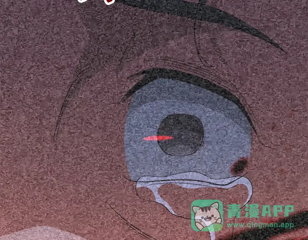 第221页
