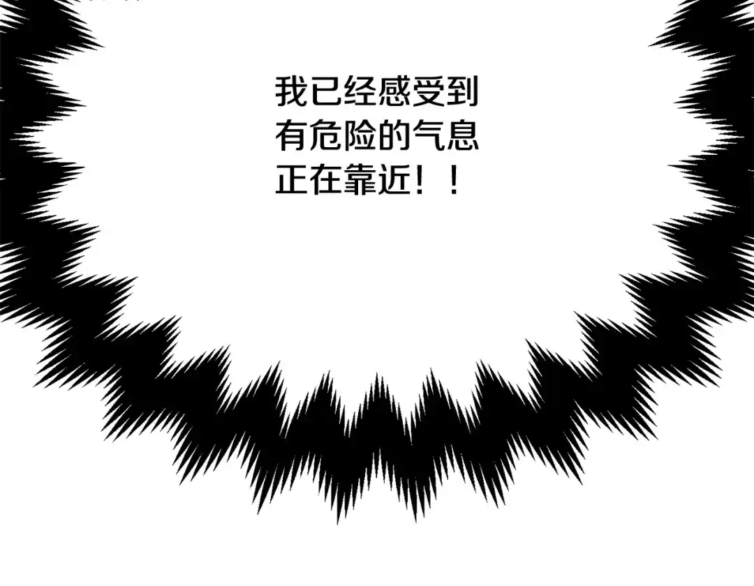 第260页