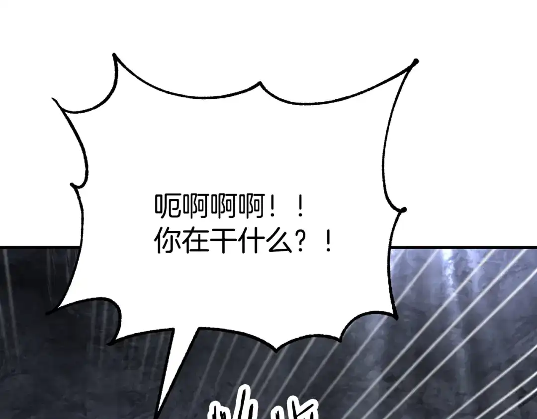 第233页