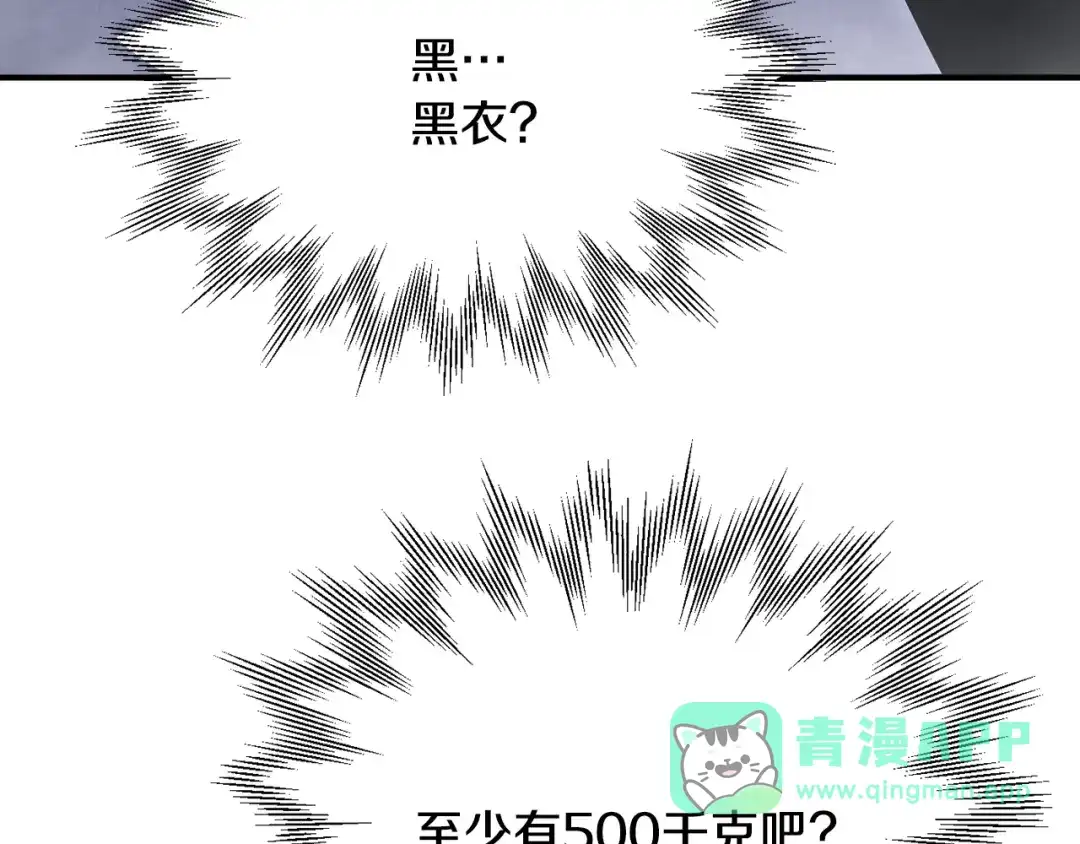 第241页