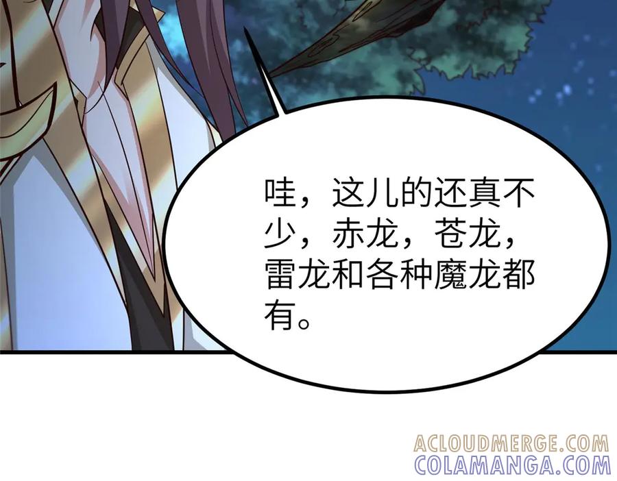 第205页