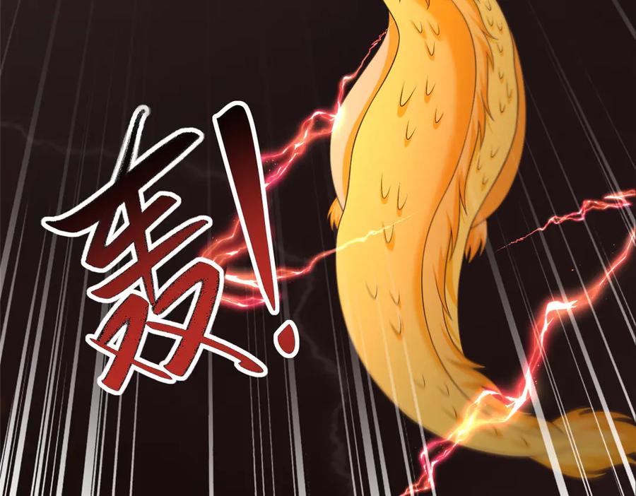 第221页