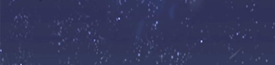 第245页