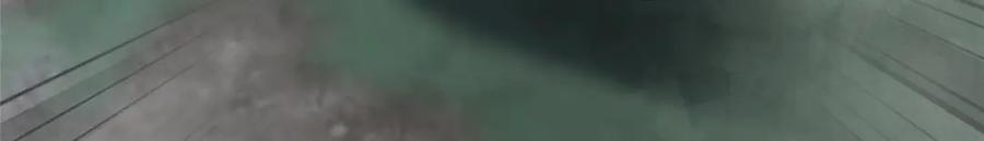 第366页