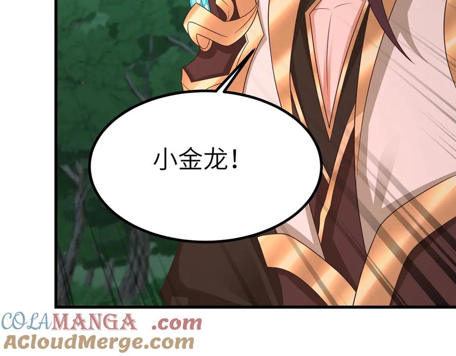 第243页