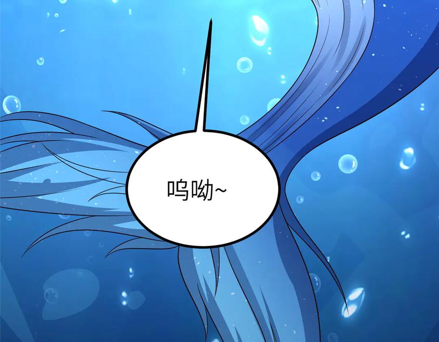 第204页