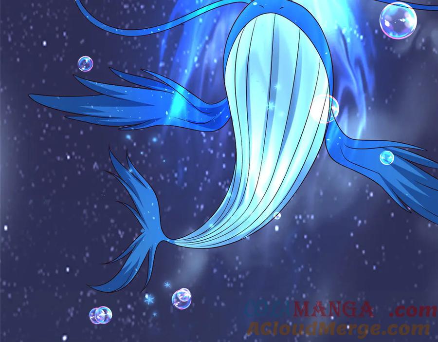 第243页