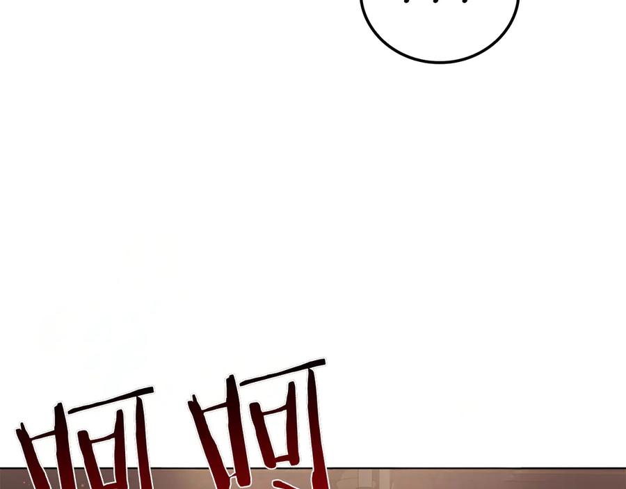 第223页