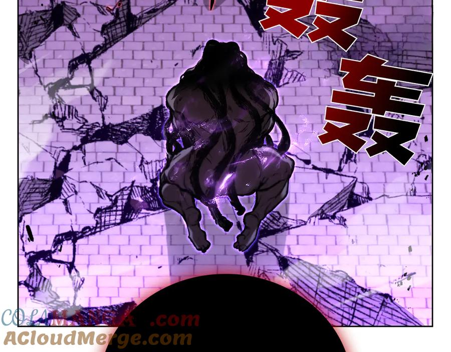 第205页